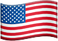 Language Flag